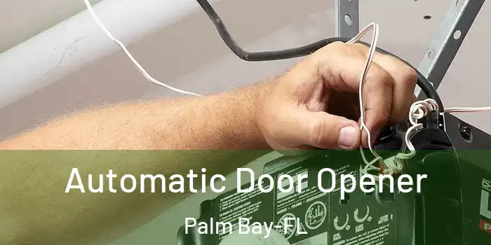 Automatic Door Opener Palm Bay-FL