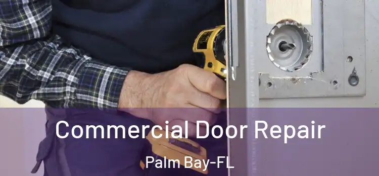 Commercial Door Repair Palm Bay-FL