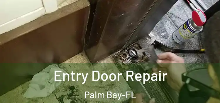  Entry Door Repair Palm Bay-FL