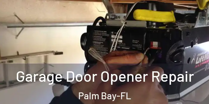 Garage Door Opener Repair Palm Bay-FL