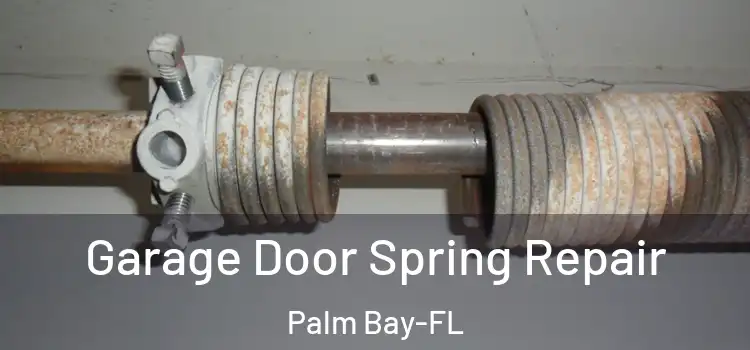 Garage Door Spring Repair Palm Bay-FL