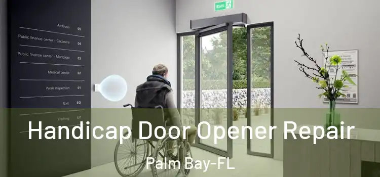  Handicap Door Opener Repair Palm Bay-FL