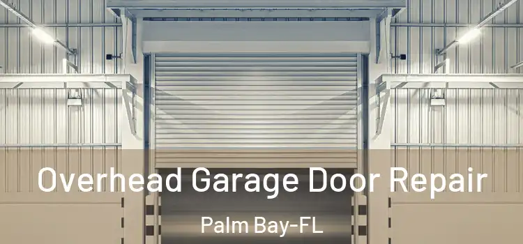 Overhead Garage Door Repair Palm Bay-FL